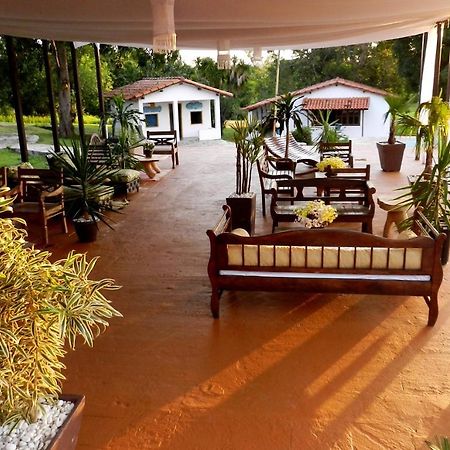 Raizama Fazenda Hotel Alexania Buitenkant foto